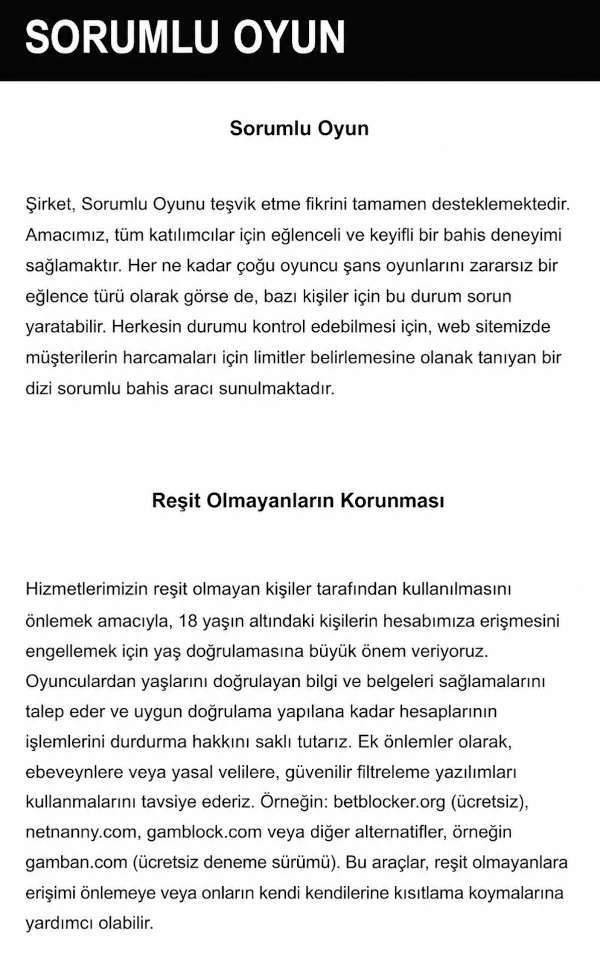 Sorumlu oyun sisteminin çalışma ilkelerinin açıklaması